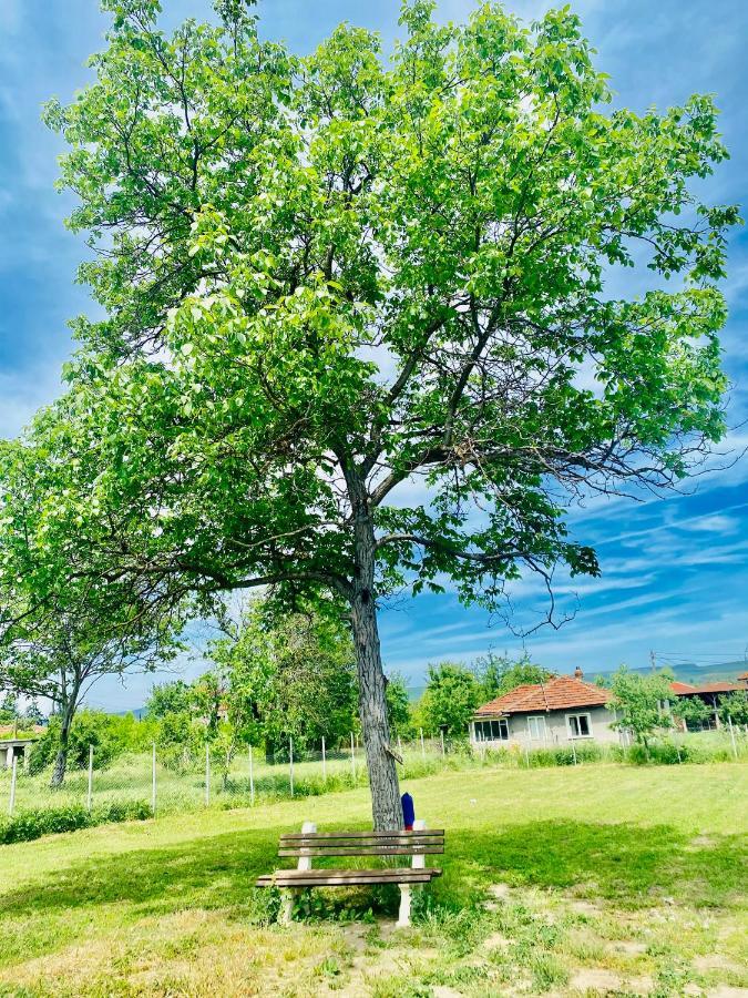 Caravans 10 Min To Tsonevo Lake & 35 Min To Black Sea Экстерьер фото