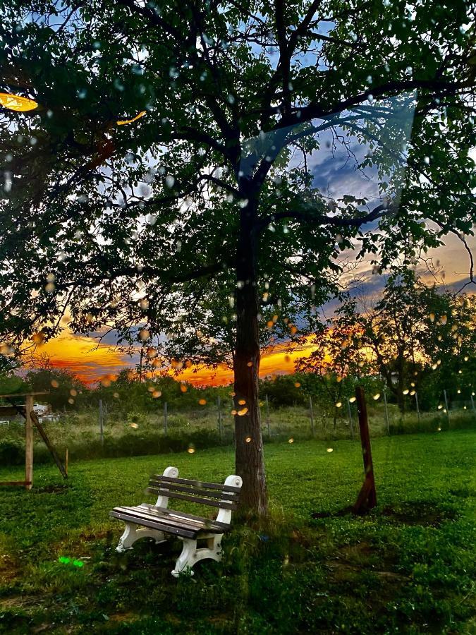 Caravans 10 Min To Tsonevo Lake & 35 Min To Black Sea Экстерьер фото